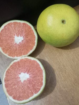 Naranja de cosecha kilo