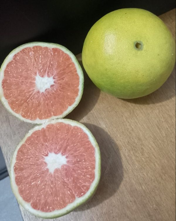 Naranja de cosecha kilo