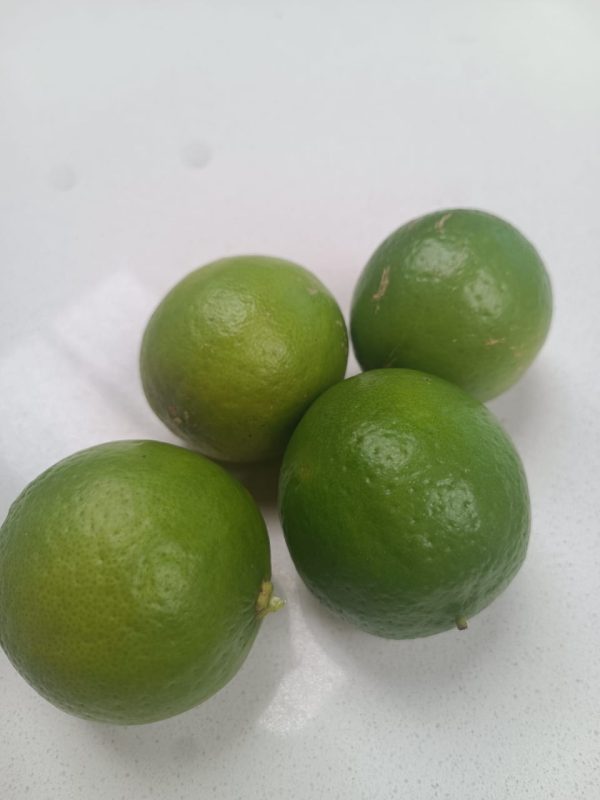 MaríaClaraLimón2 Limón de cosecha kilo