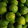 Naranja de cosecha kilo