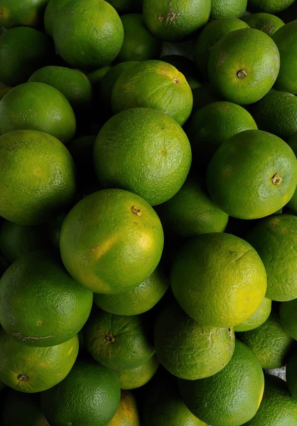 Naranja de cosecha kilo