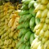 Banano criollo kilo