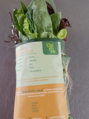 Mezcla de lechugas seleccionadas 140 gr