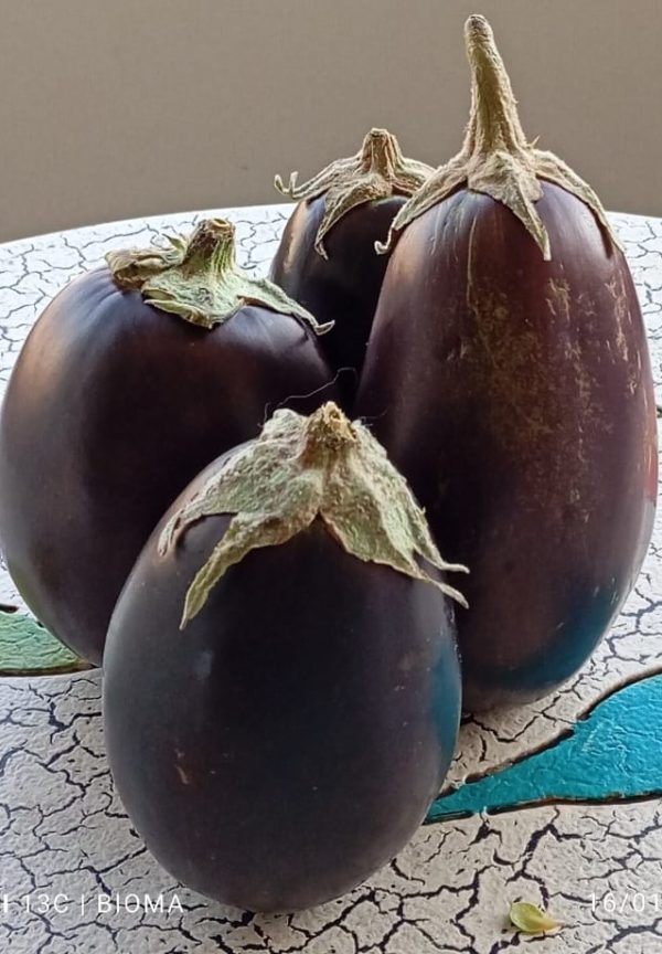 Berenjena kilo