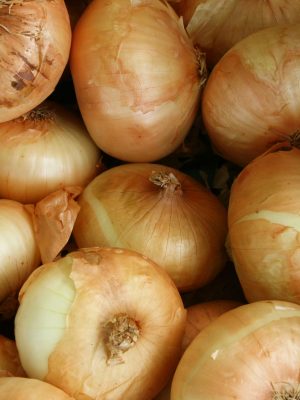 Cebolla de huevo kilo