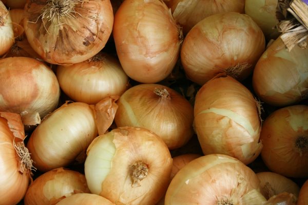 cebollas Cebolla de huevo kilo