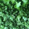 Cilantro 100 gr