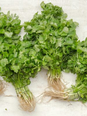 Cilantro 100 gr