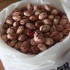Frijol de cosecha desgranado kilo