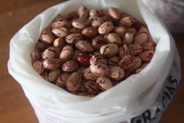 Frijol de cosecha desgranado kilo