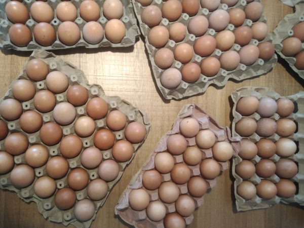 Huevos campesinos canasta 30 unidades