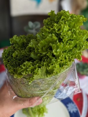 Lechuga de temporada unidad
