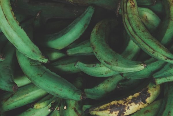 platano Plátano kilo