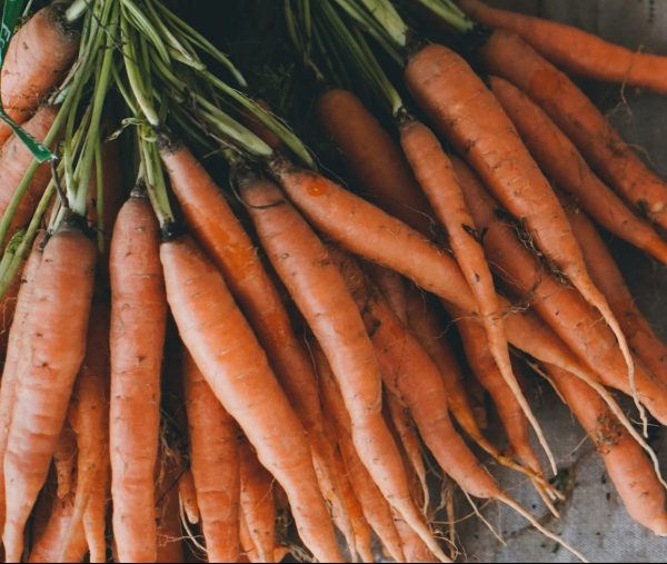 zanahorias Zanahoria kilo