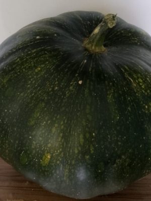 Auyama kilo