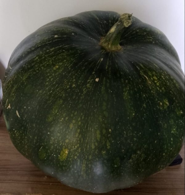 Auyama kilo