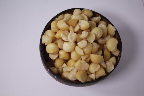 Macadamia libra