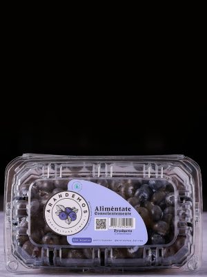 Arándanos 250 gr
