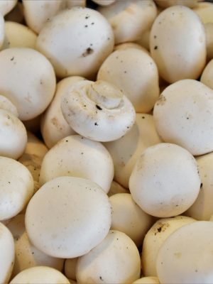 Champiñones kilo