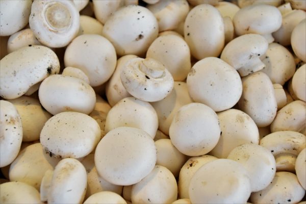 Champiñones kilo