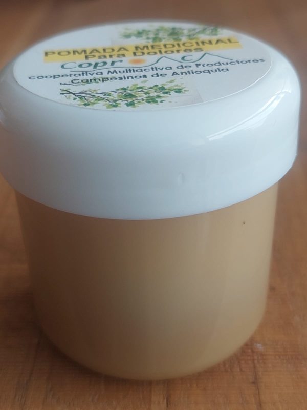 Pomada para dolores Verbena Nativa vertical Pomada con plantas medicinales 100 gr