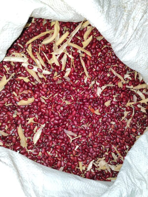 Frijol de cosecha desgranado kilo - últimas unidades