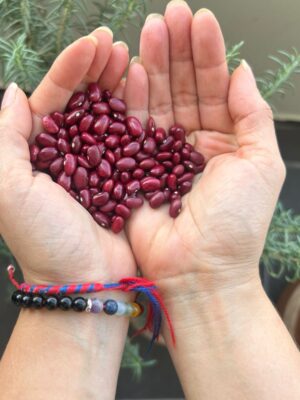 Frijol de cosecha desgranado kilo - últimas unidades