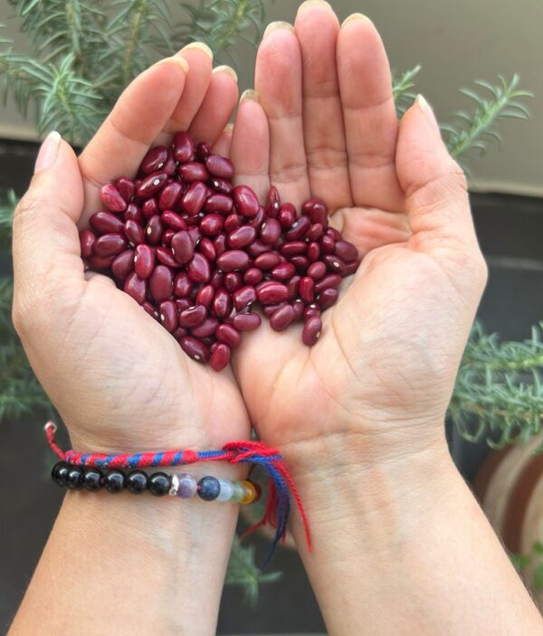 Frijol de cosecha desgranado kilo - últimas unidades