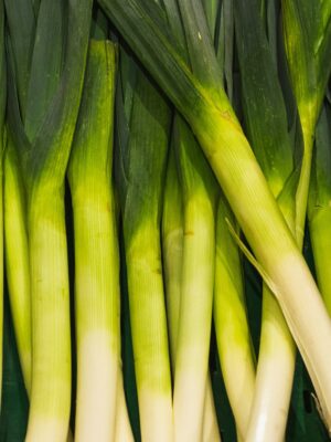 Cebolla puerro libra