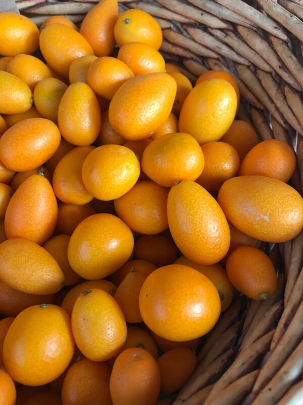 Kumquat libra