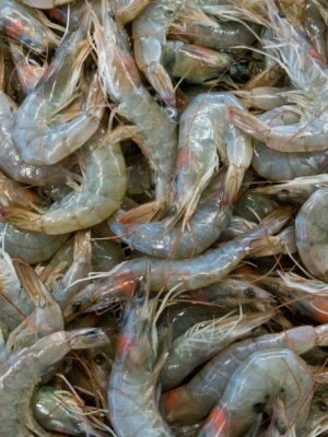 Camarones crudos 500 gr