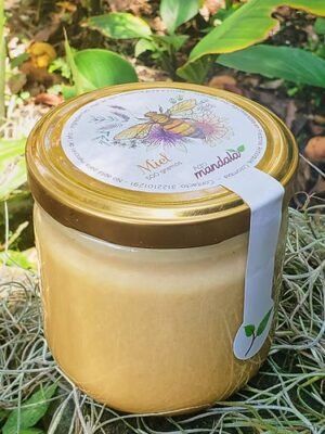 Miel de abejas pura y cruda cremada x 500 gr