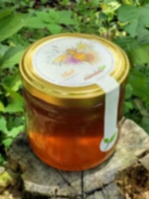 Miel de abejas 500 gr