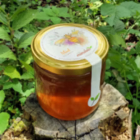 Miel de abejas 500 gr
